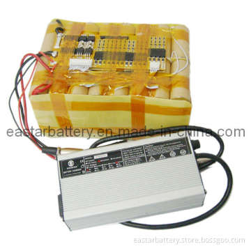 36V 10ah LiFePO4 Battery Packs with Charger